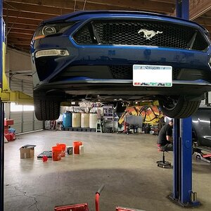 IMG_1166 (1).jpg