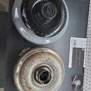 20230225_125628.jpg