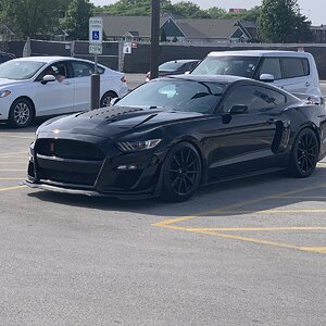 IMG_1749.jpeg