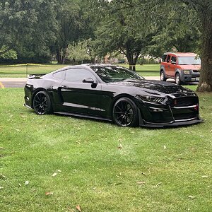 IMG_2157.jpeg