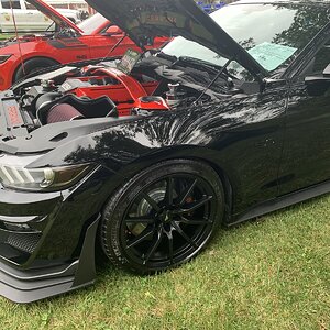 IMG_2146.jpeg