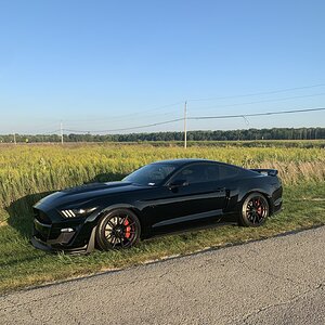 IMG_2496.jpeg