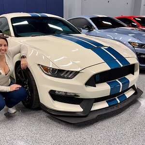 LR066 GT350R HEP