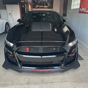 IMG_5317.jpeg