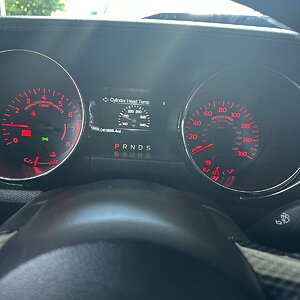IMG_5313.jpeg