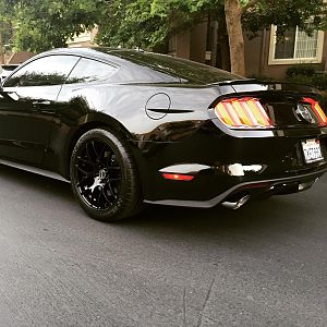 50 years edition badge, Michelin Pilot Super Sport 295/35/19, RTR 19x10" wheels, Roush axle-back exhaust