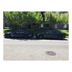 My 2015 50 Years GT and MrBillton's 2013 Boss 302 LS