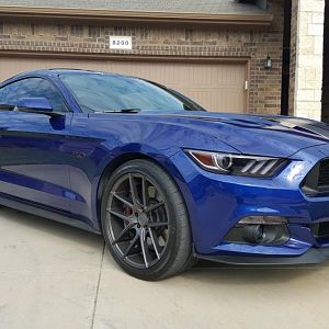 M6G 21
BigWormGraphix Dual Narrow 2 Color Stripes (Matte Charcoal/Gloss White)
BigWormGraphix Lens Tint Kit (Tint Headlamps; Optic Blue Fog Lamps; G