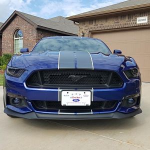 M6G 22
BigWormGraphix Dual Narrow 2 Color Stripes (Matte Charcoal/Gloss White)
BigWormGraphix Lens Tint Kit (Tint Headlamps; Optic Blue Fog Lamps; G