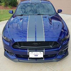 M6G 23
BigWormGraphix Dual Narrow 2 Color Stripes (Matte Charcoal/Gloss White)
BigWormGraphix Lens Tint Kit (Tint Headlamps; Optic Blue Fog Lamps; G