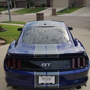 M6G 27
BigWormGraphix Dual Narrow 2 Color Stripes (Matte Charcoal/Gloss White)
BigWormGraphix Lens Tint Kit (Tint Headlamps; Optic Blue Fog Lamps; G