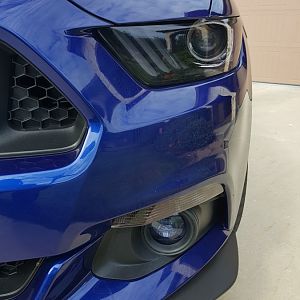 M6G 29
BigWormGraphix Dual Narrow 2 Color Stripes (Matte Charcoal/Gloss White)
BigWormGraphix Lens Tint Kit (Tint Headlamps; Optic Blue Fog Lamps; G