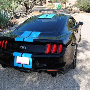 DSC 1467