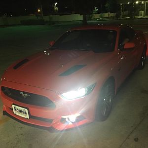 Day after I brought her home