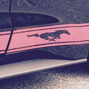 This is sweet! That shiny gloss coming through on the pony cutout!