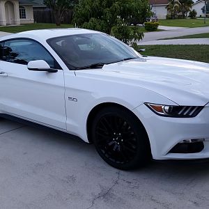 Just got it home