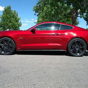 Homer's Side