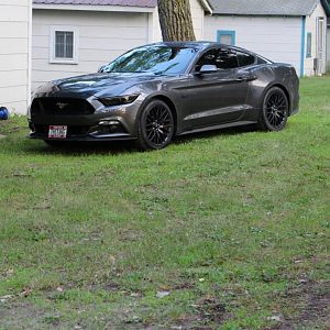 4thstang 50%1