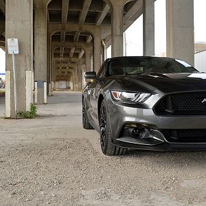 2015 06 23 2015 Mustang 011