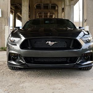 2015 06 23 2015 Mustang 012