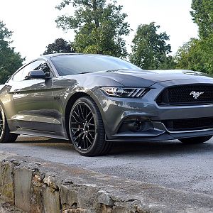 2015 07 19 2015 Mustang 007