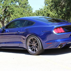 Stance SF01's and Nitto Invo's #2