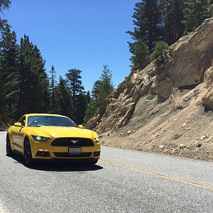 Angeles Crest Highway, July 24, 2015
