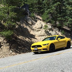 Angeles Crest Highway, July 24, 2015