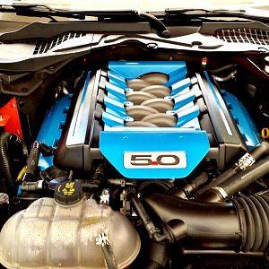 Engine bay paint. My friends hate it. I guess it's time for new friends!