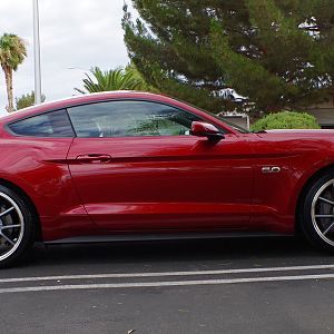 Coyote 5.0 V8 6