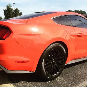 freshly washed