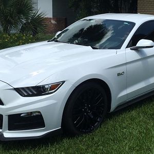 2015 GT PP