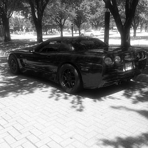Black & White picture