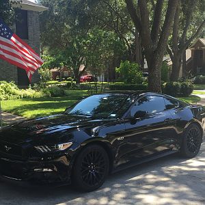 MY CAR FLAG