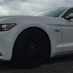 Mustang 2