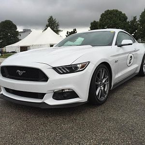 Mustang 1