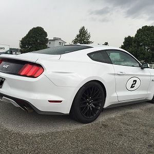 Mustang 3