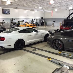 mustang 4