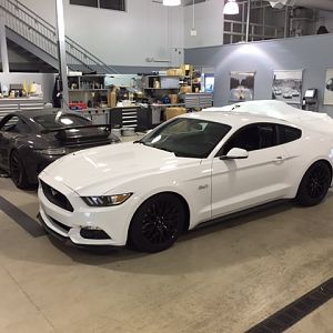 mustang 5
