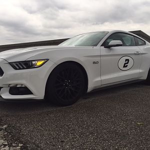 Mustang 7