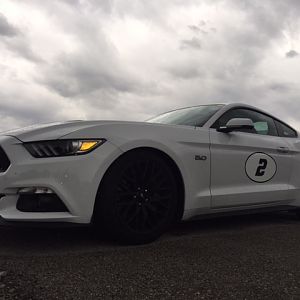 Mustang 8