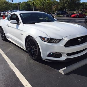 Mustang 9