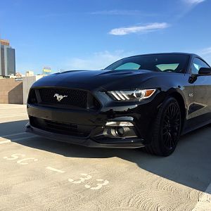 2015 Ford Mustang GT PP