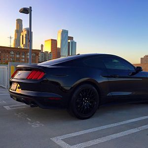 2015 Ford Mustang GT PP
