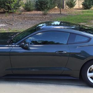 2015 EcoBoost Mustang