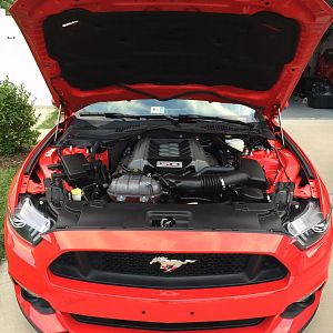 First mods: Hood struts and Sho N Stow