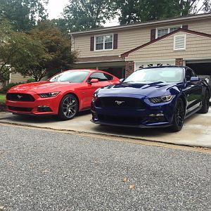 Brother picks up a dib GT