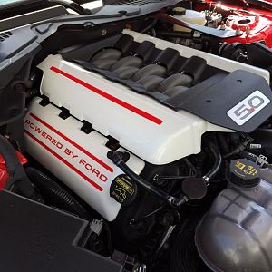 Engine covers done by JLT Performance
