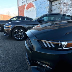 First M6G S550 Meet, 2014