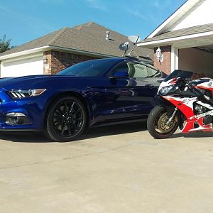 Moosestang and the scooter